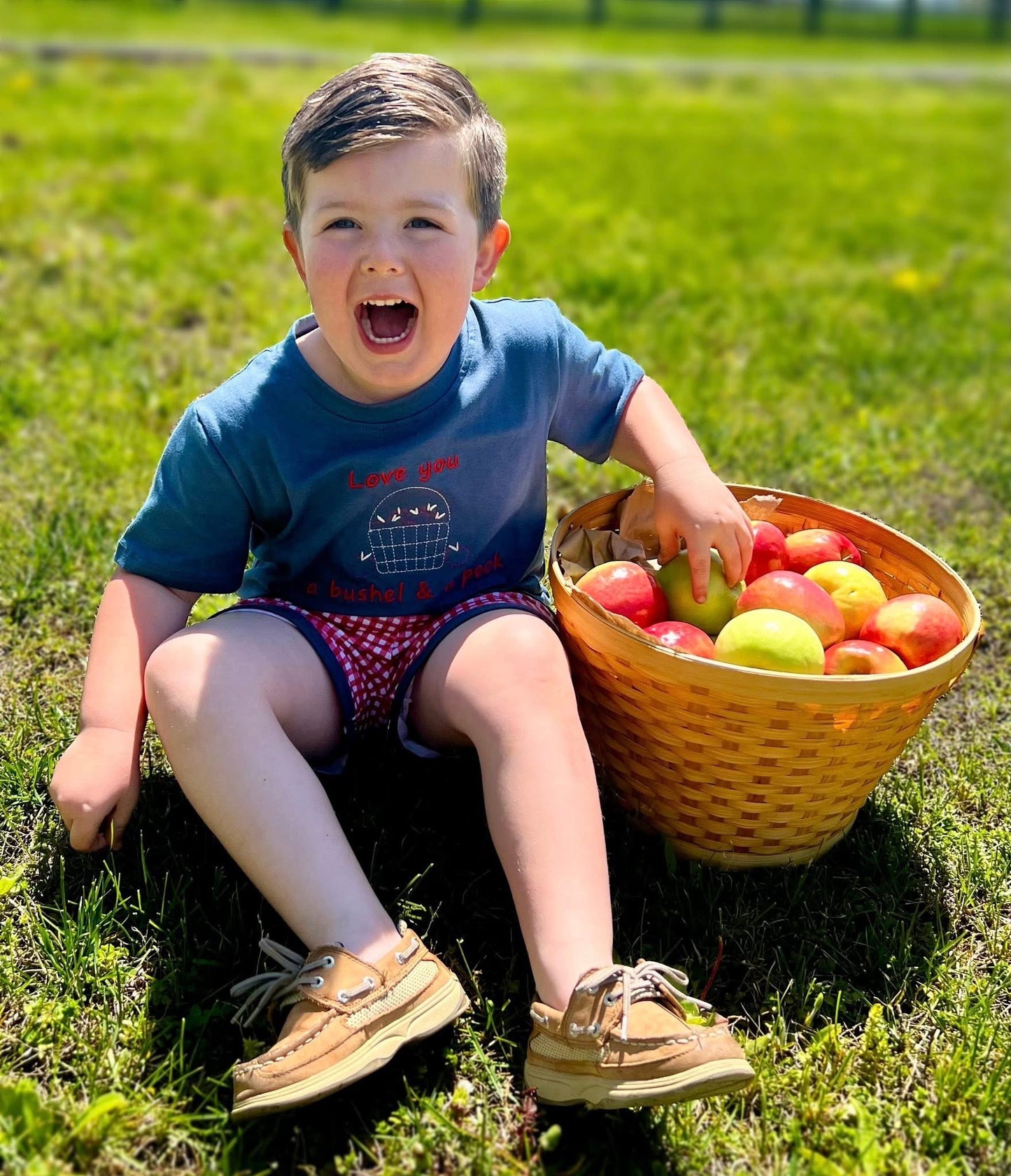 Bushel & a peck shorts set