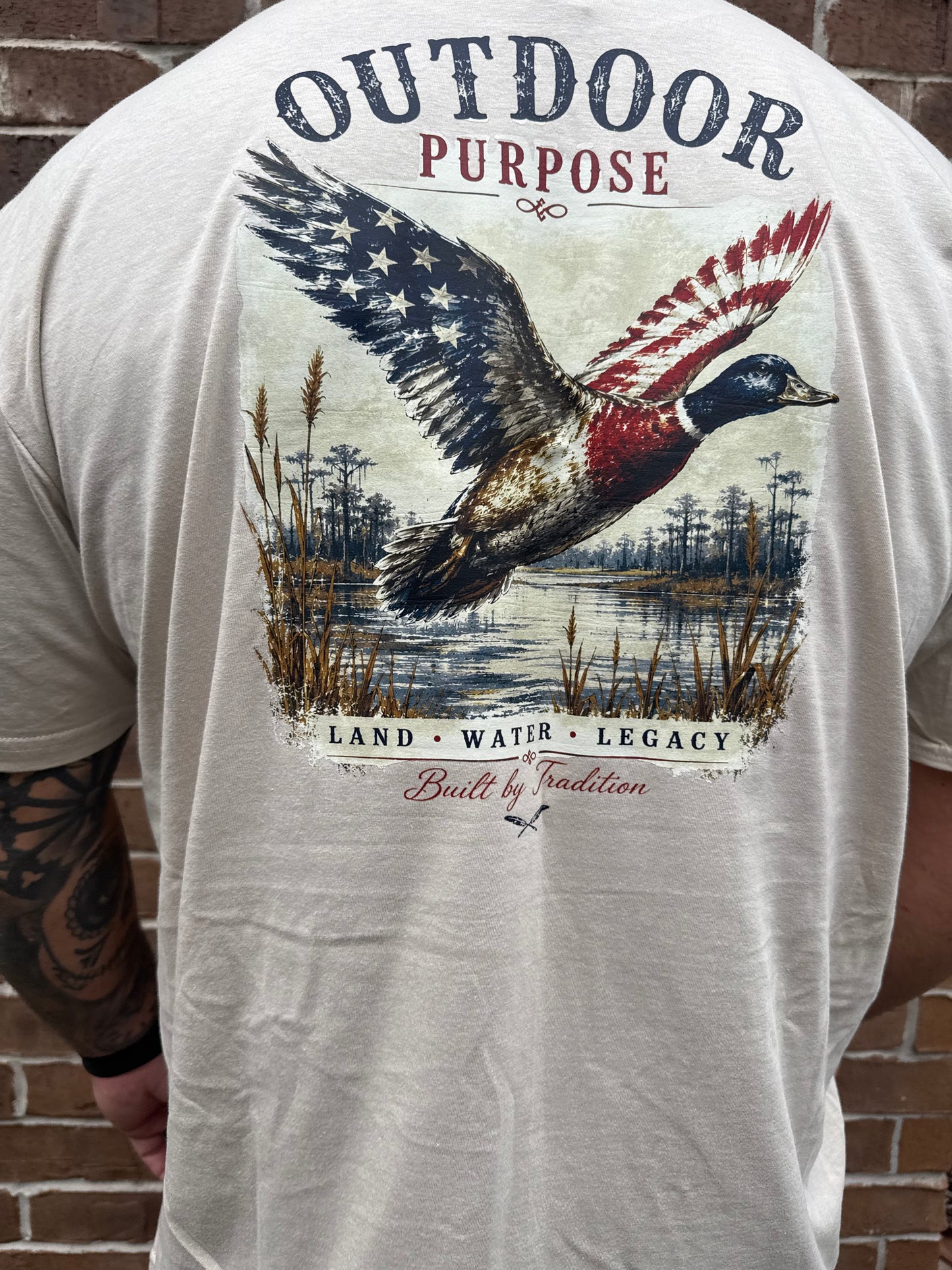 American Bird