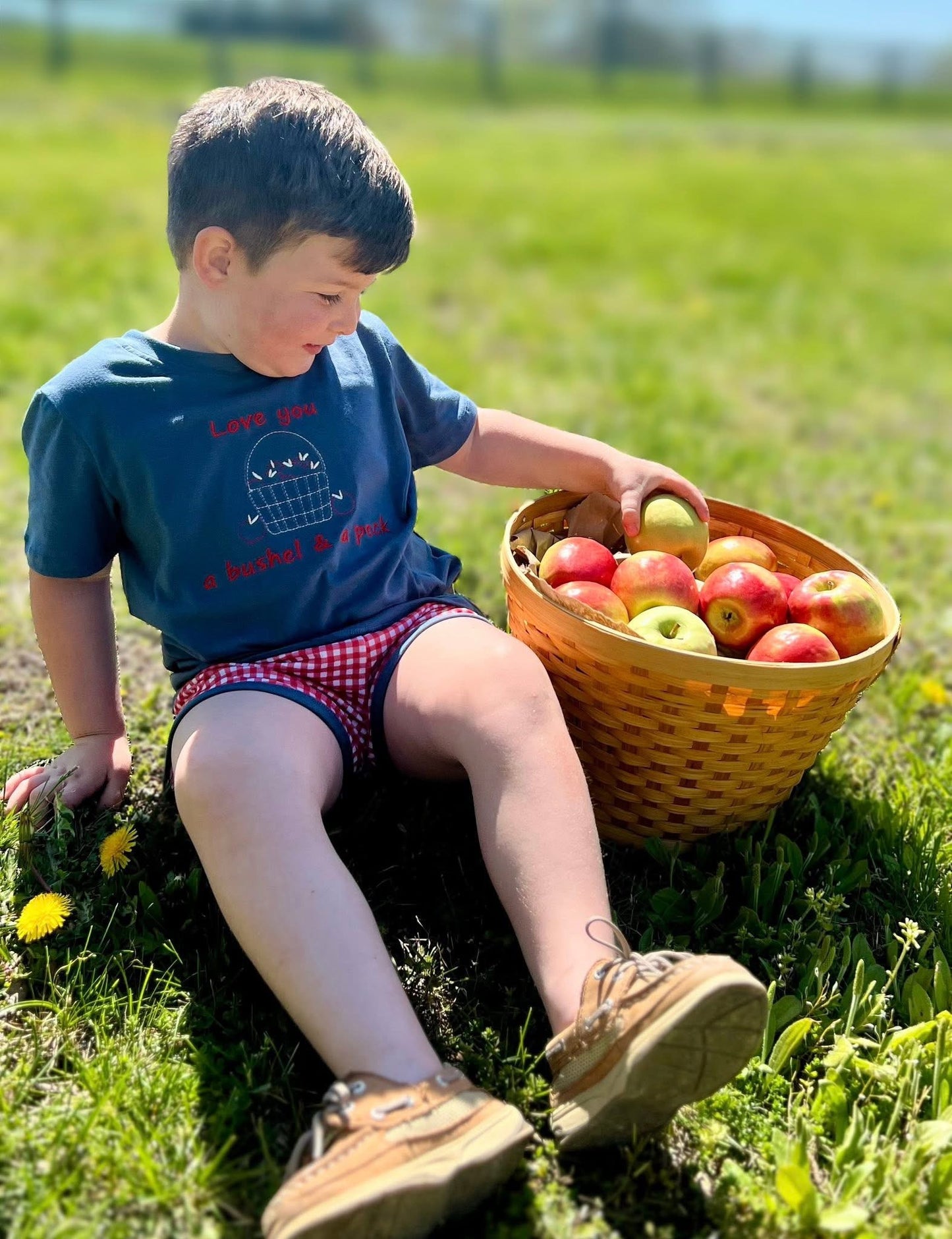 Bushel & a peck shorts set