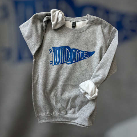 Wildcats sweatshirt