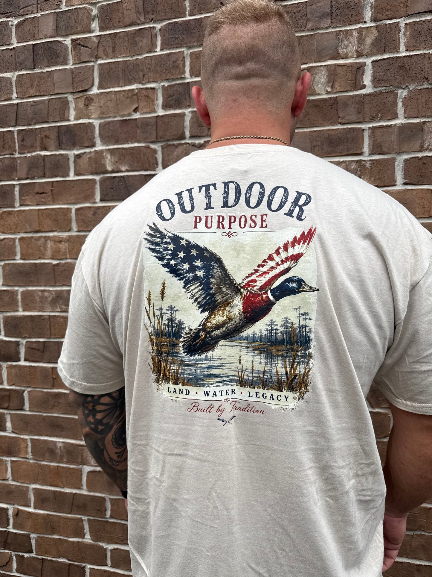 American Bird