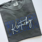 Kentucky wildcats