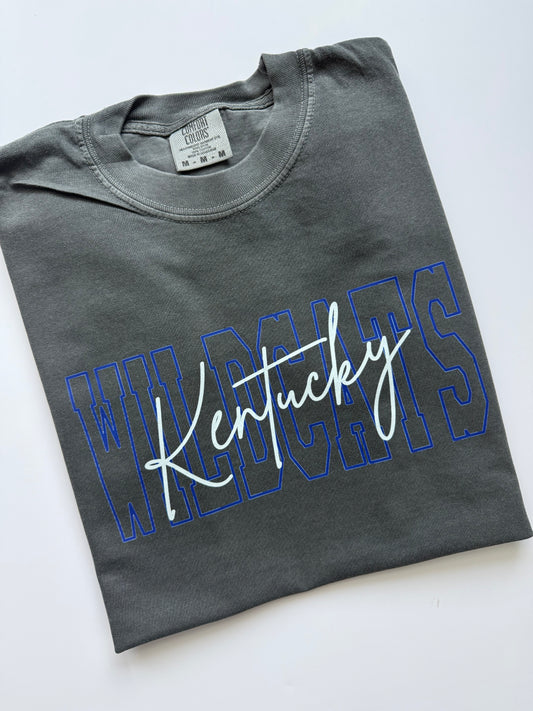 Kentucky wildcats